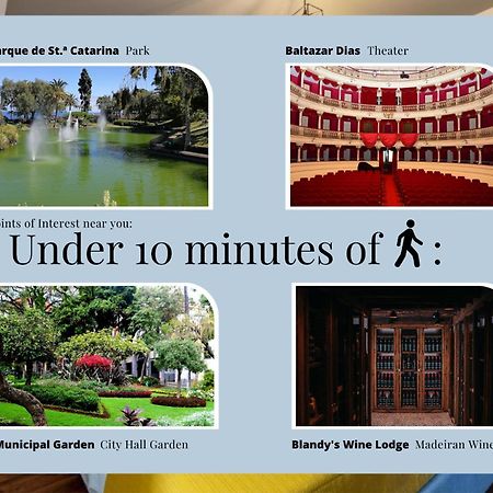 Social Lodge - Centro Do Funchal المظهر الخارجي الصورة